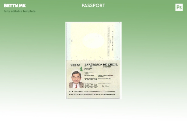 Шаблон за верзија на пасош на Чиле во модерен стил